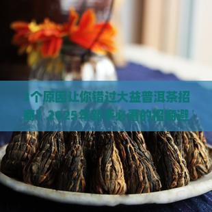 大益普洱茶招商