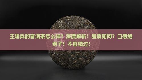 王建兵的普洱茶怎么样