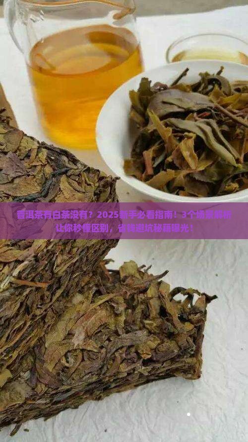 普洱茶有白茶没有