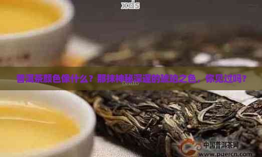 普洱茶颜色像什么