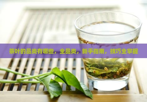 茶叶的品类有哪些