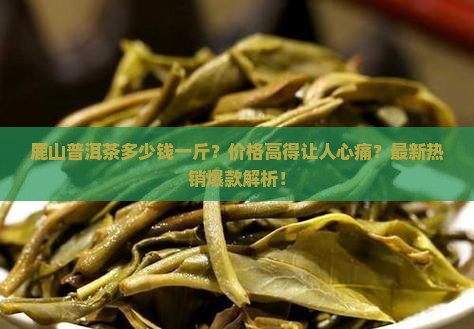 鹿山普洱茶多少钱一斤