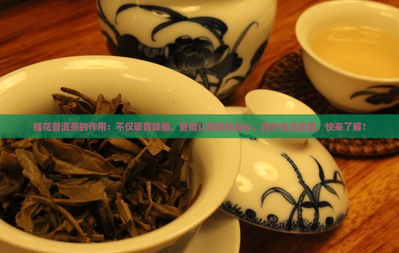 桂花普洱茶的作用
