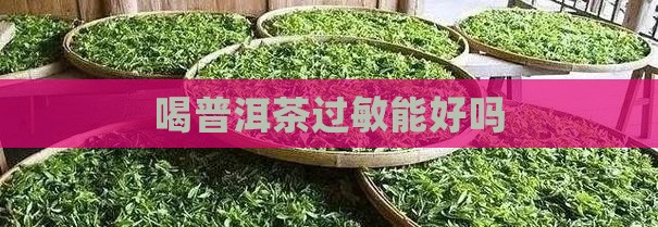 喝普洱茶过敏能好吗