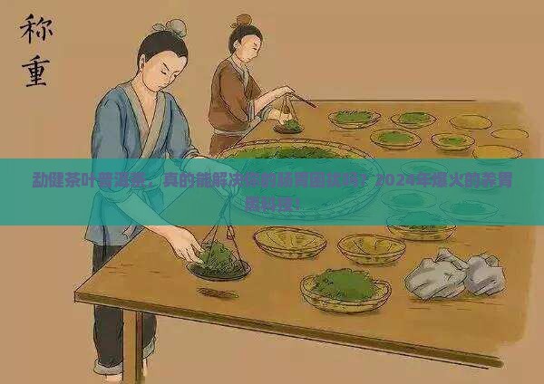 勐健茶叶普洱茶