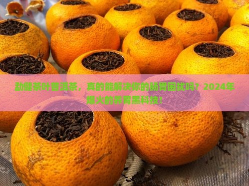 勐健茶叶普洱茶