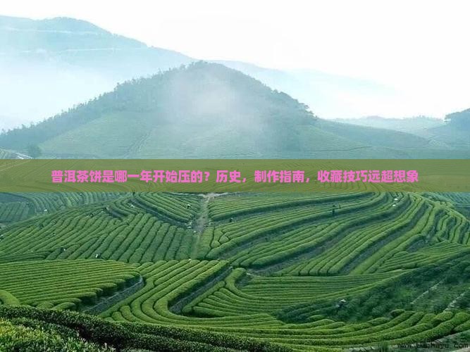 普洱茶饼是哪一年开始压的