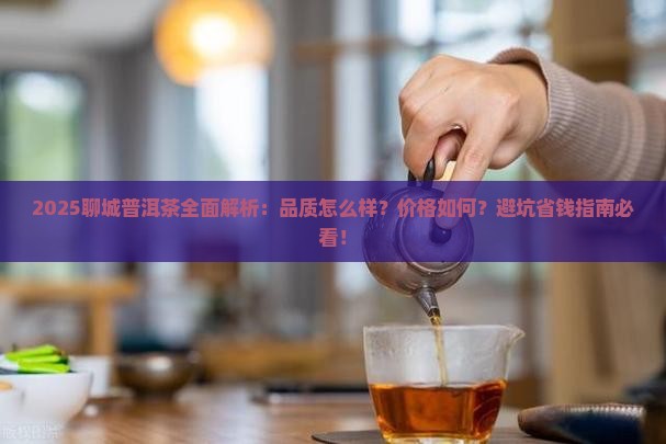 聊城普洱茶怎么样