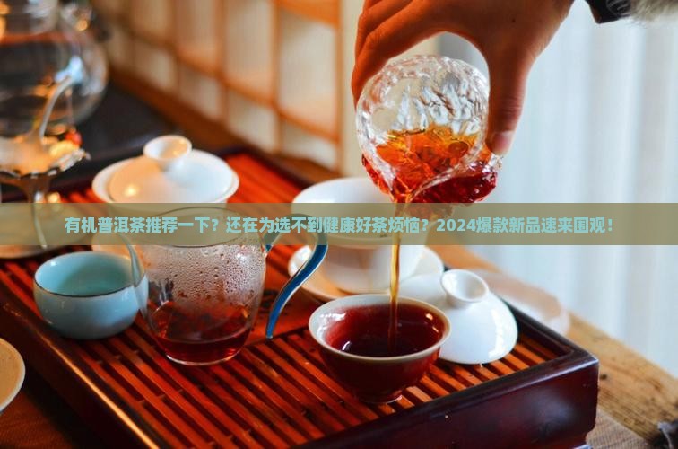 有机普洱茶品牌推荐一下