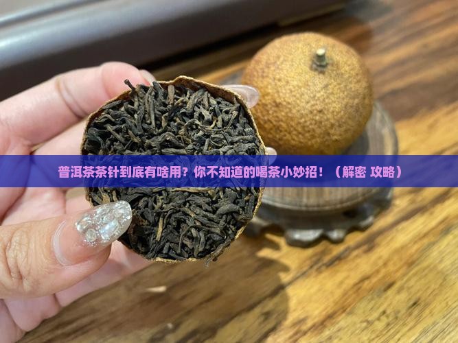 普洱茶茶针是干什么用的