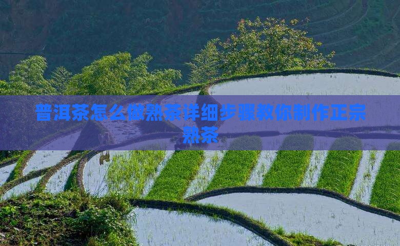 普洱茶怎么做熟茶
