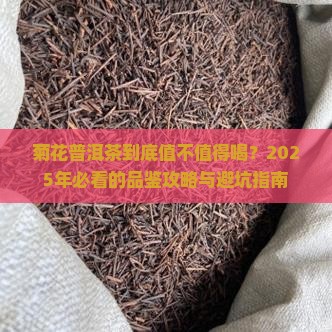 菊花普洱茶是什么档次的茶