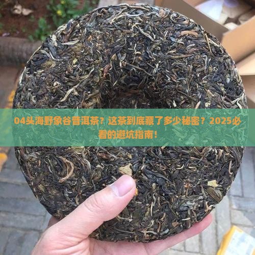 04头海野象谷普洱茶