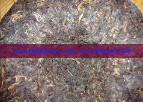 青木瓜和普洱茶有什么作用