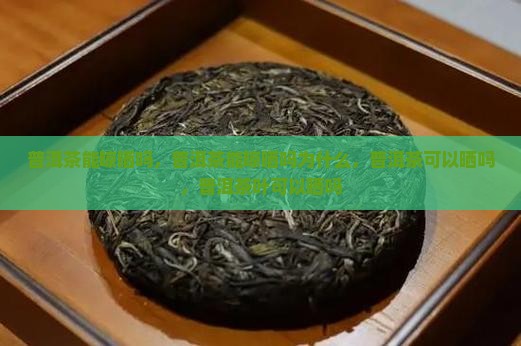 普洱茶能晾晒吗