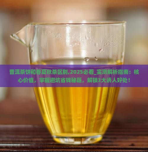普洱茶饼和春夏秋茶区别