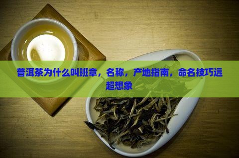普洱茶为什么叫班章
