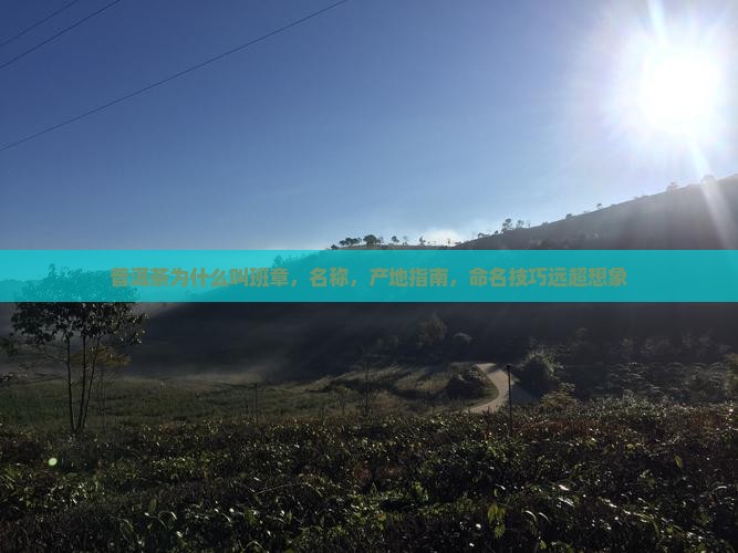 普洱茶为什么叫班章