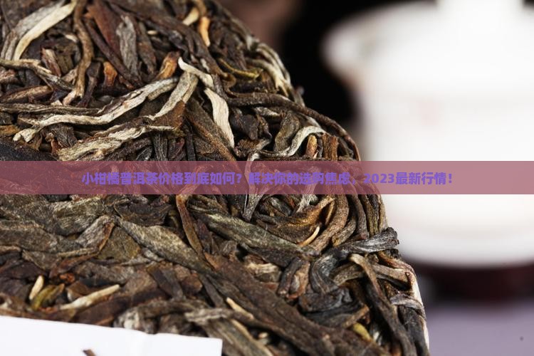 小柑橘普洱茶价格走势