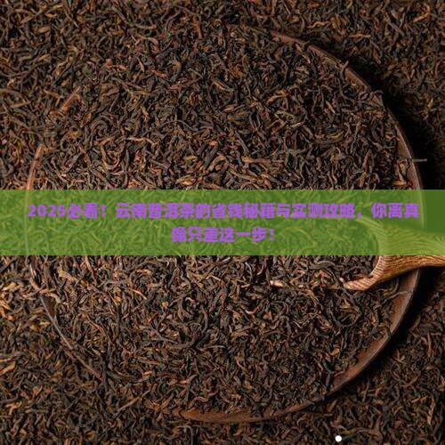 云南省普洱茶大师