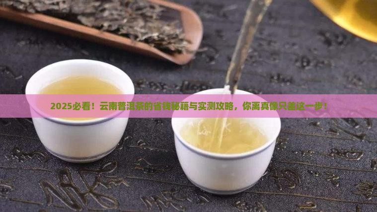 云南省普洱茶大师
