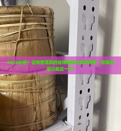 云南省普洱茶大师