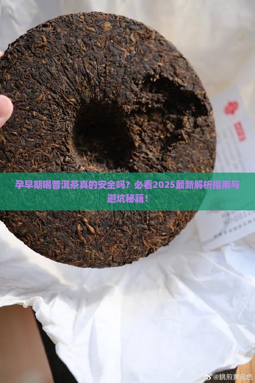 孕早期喝一口普洱茶