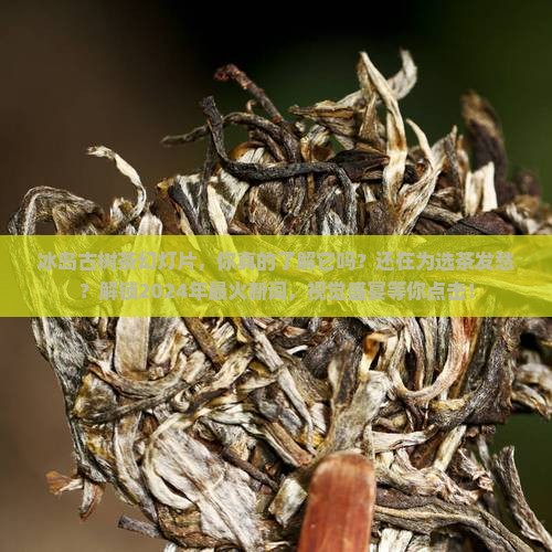 冰岛古树茶幻灯片