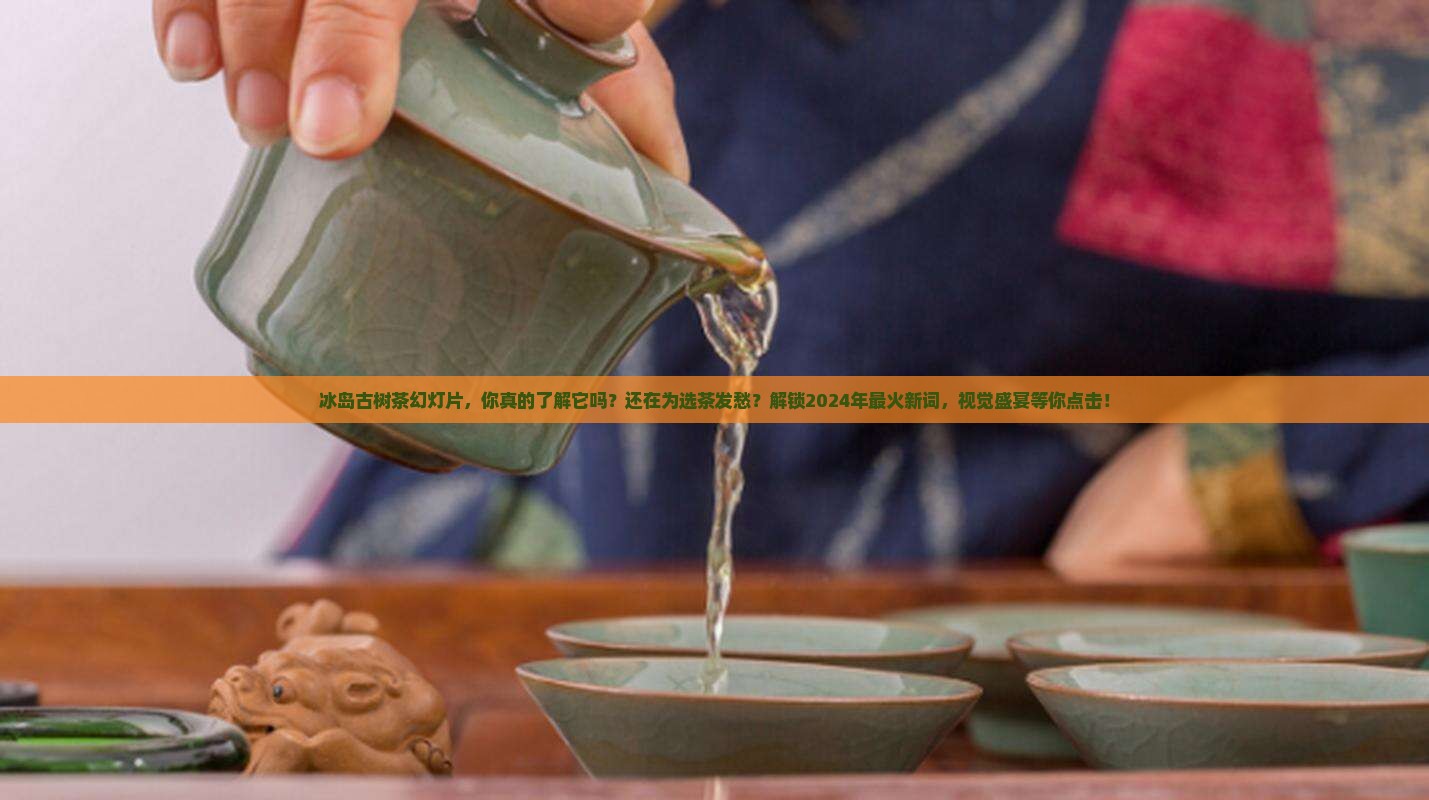 冰岛古树茶幻灯片