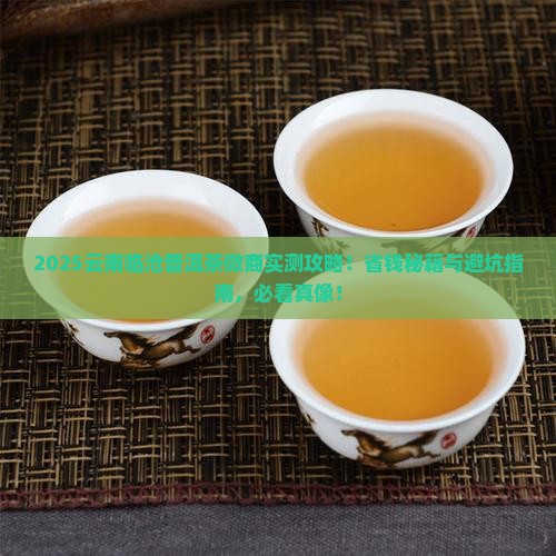 云南临沧普洱茶微商