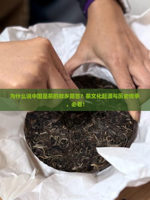 为什么说中国是茶的故乡简答