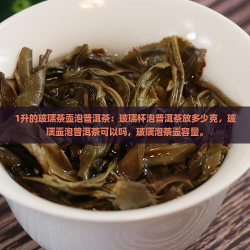 1升的玻璃茶壶泡普洱茶