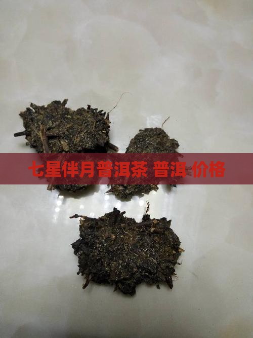 普文茶厂的七星伴月普洱茶