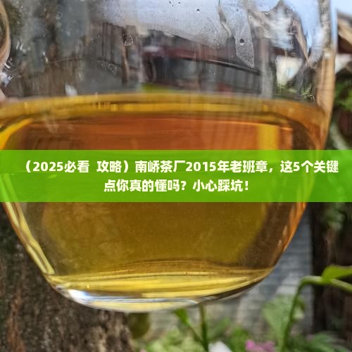 南峤茶厂2015年老班章