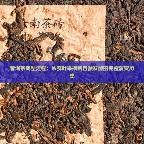 普洱茶成型过程