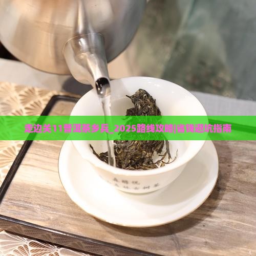 走边关11普洱茶乡巡逻兵