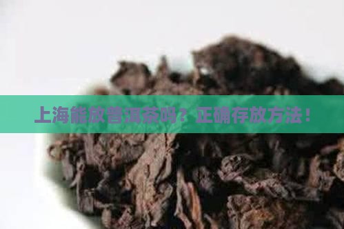 上海能放普洱茶吗
