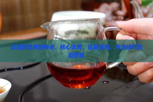 云洱普洱茶的特点