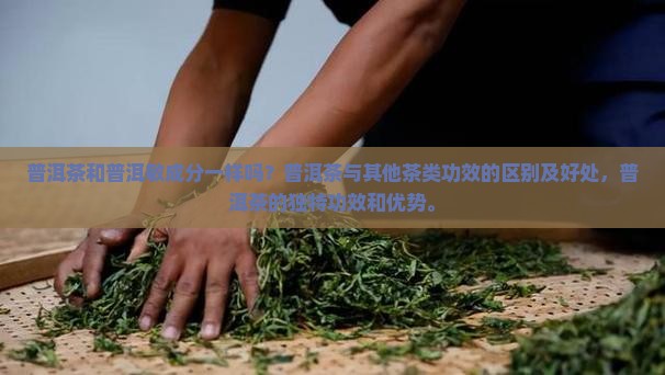 普洱茶和普洱敏成分一样吗