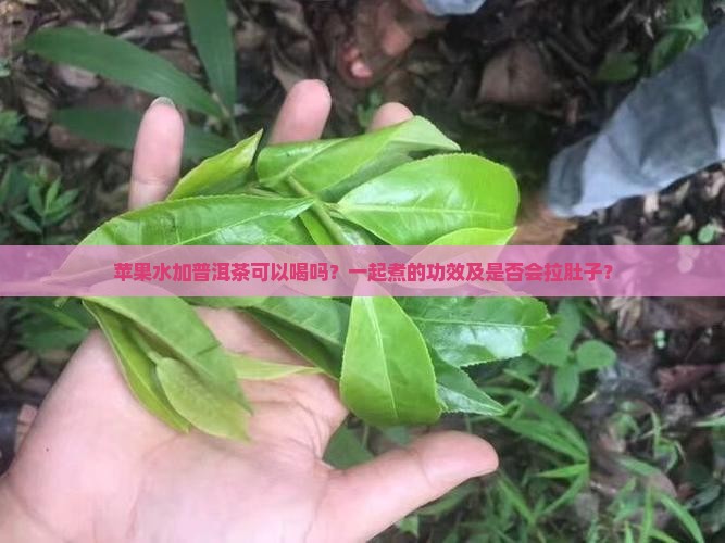苹果水加普洱茶