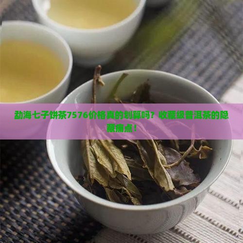 勐海七子饼茶7576价格
