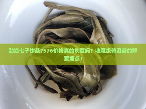 勐海七子饼茶7576价格