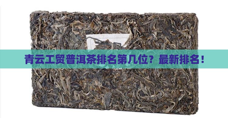 青云工贸普洱茶排名第几位