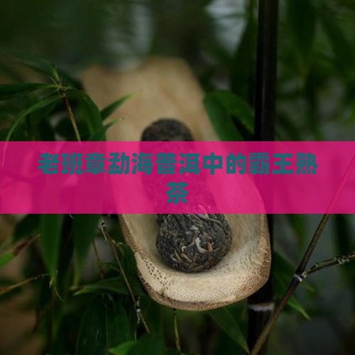 老班章普洱茶熟茶勐海出品