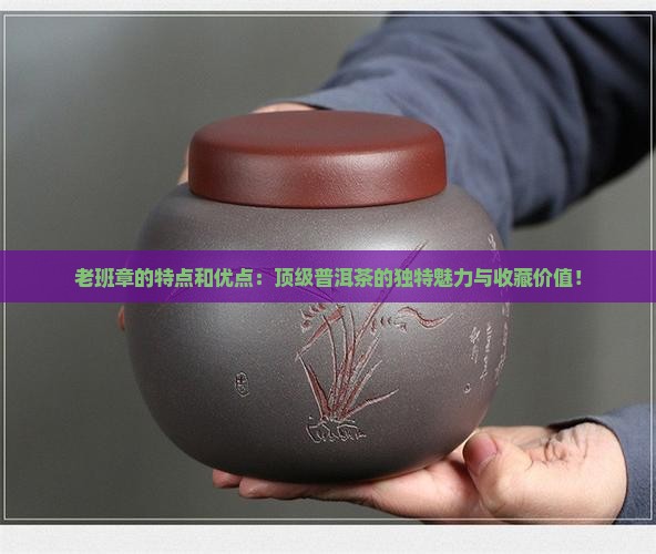 老班章的特点和优点