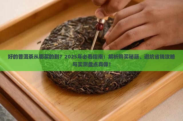 好的普洱茶从哪买的到