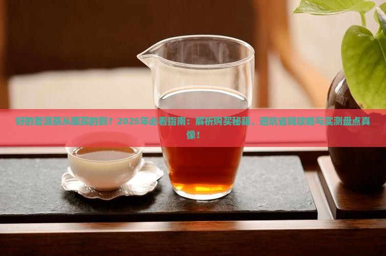 好的普洱茶从哪买的到