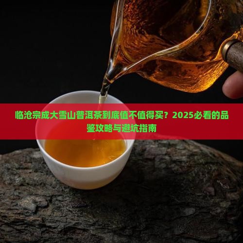 临沧宗成大雪山普洱茶