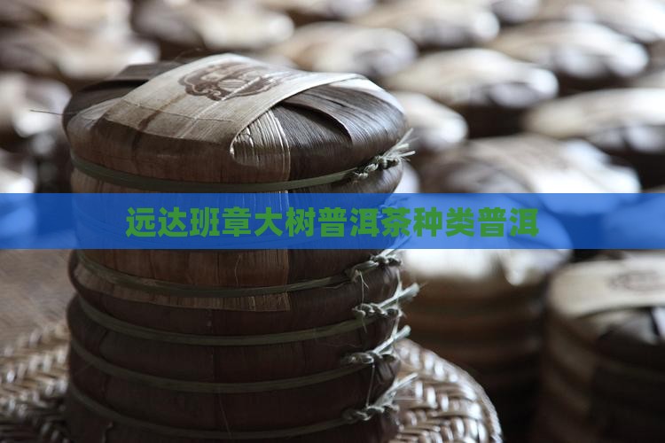 远达班章大树普洱茶