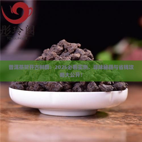 普洱茶贺开古树群